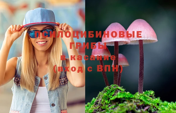 MDMA Протвино