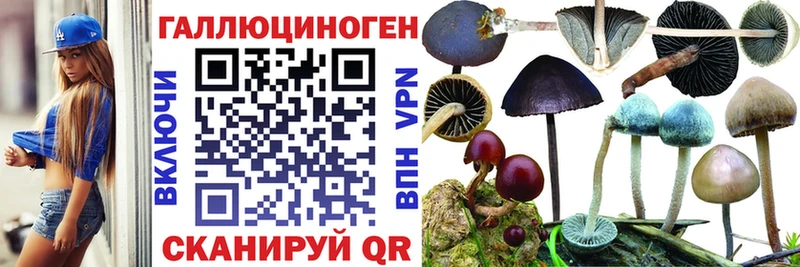 Купить  Радужный  Псилоцибиновые грибы Psilocybe 